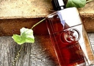 عطر و ادکلن گیلتی ابسولوت  Guilty Absolute