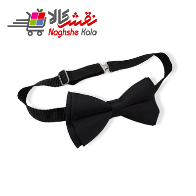پاپیون آراز